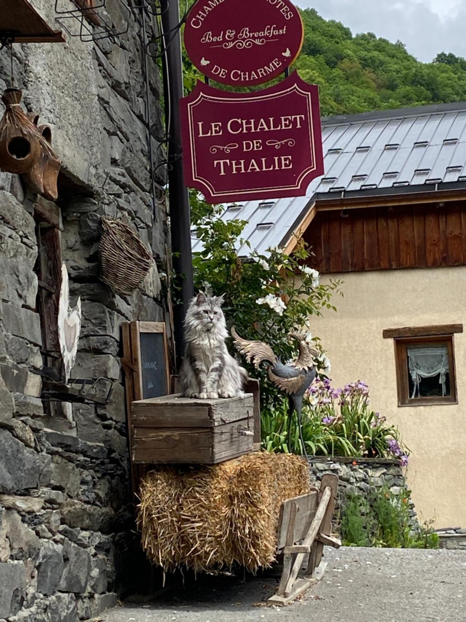 Le Chalet De Thalie Bourg-Saint-Maurice Eksteriør bilde